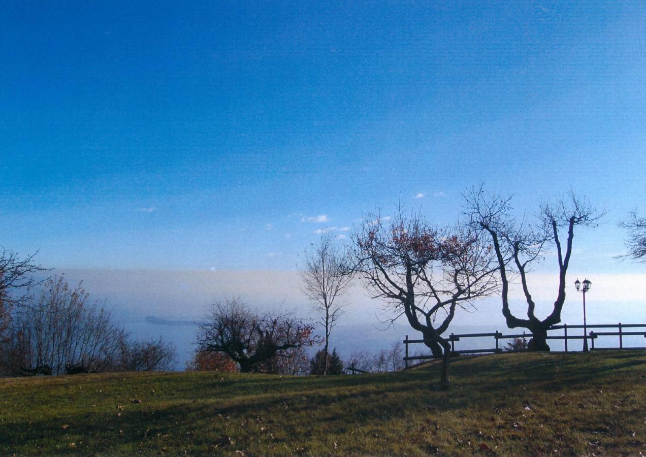 La Fiocchina - Magic Place - Apartments & Studios In Garda Lake - Countryside Farmhouse, Inside The Middle Of The Lake ซาโล ภายนอก รูปภาพ